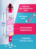 Самокат-снегокат 2 в 1 Snow Cat, колёса 120 мм — изображение 2